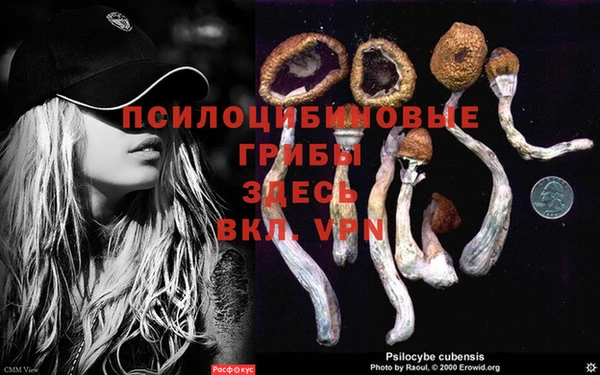 меф Алзамай