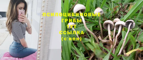 PSILOCYBIN Алексин