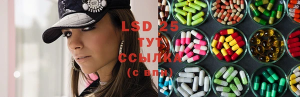 PSILOCYBIN Алексин